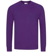 AWDis Academy Senior Raglan Sweatshirt - Purple Size XXL