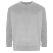 Ecologie Unisex Crater Recycled Sweatshirt - Heather Grey Size XXL