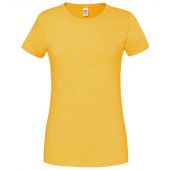 Fruit of the Loom Ladies Ringspun Premium T-Shirt - Sunflower Size XXL